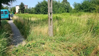 Ekos Serwis Michał Rabczuk